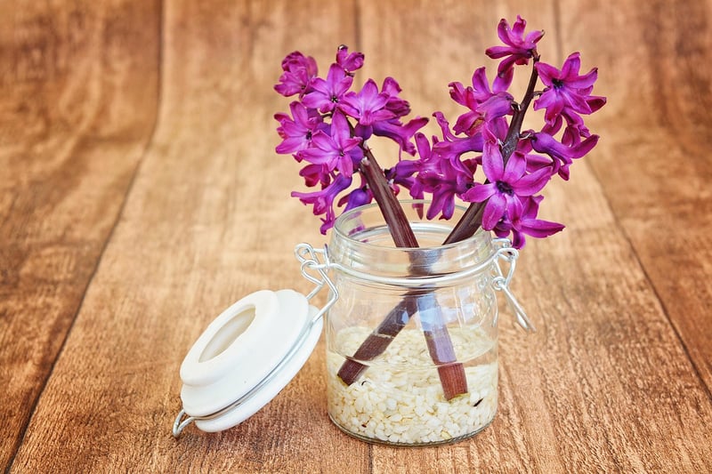 Scented Paradise