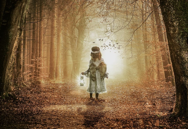Whimsical Pathways